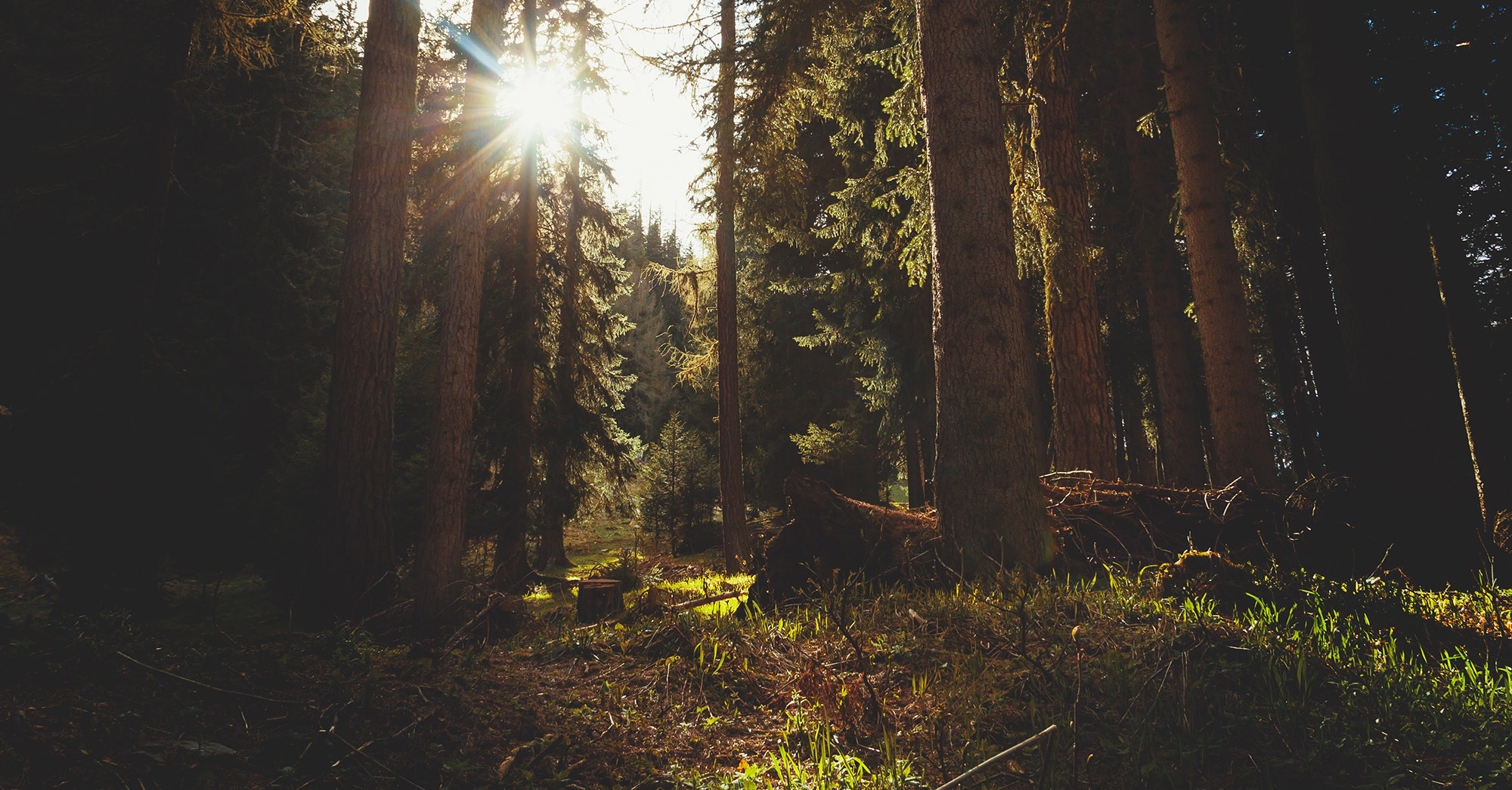 RADACAD Blog Page 5 Of 94 RADACAD RADACAD Blog Page 5 Of 94 RADACAD